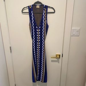 Torn by Ronny Kobo patterned blue dress size small